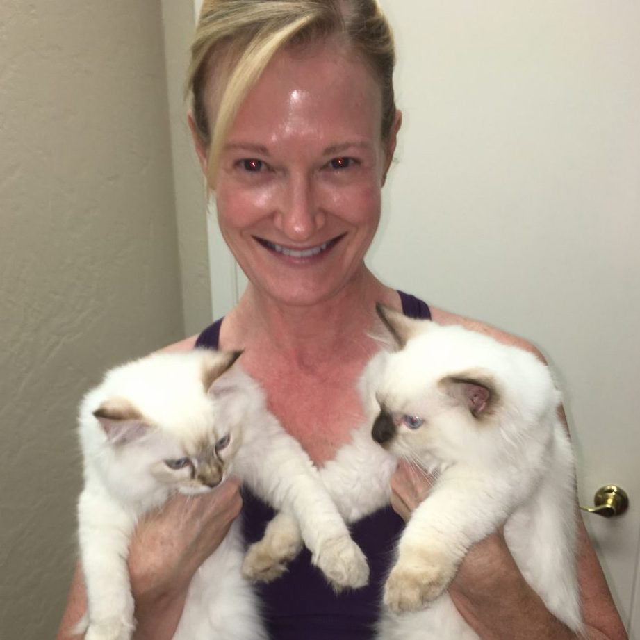 Person with two white cats